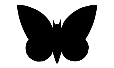 Doyle Moth