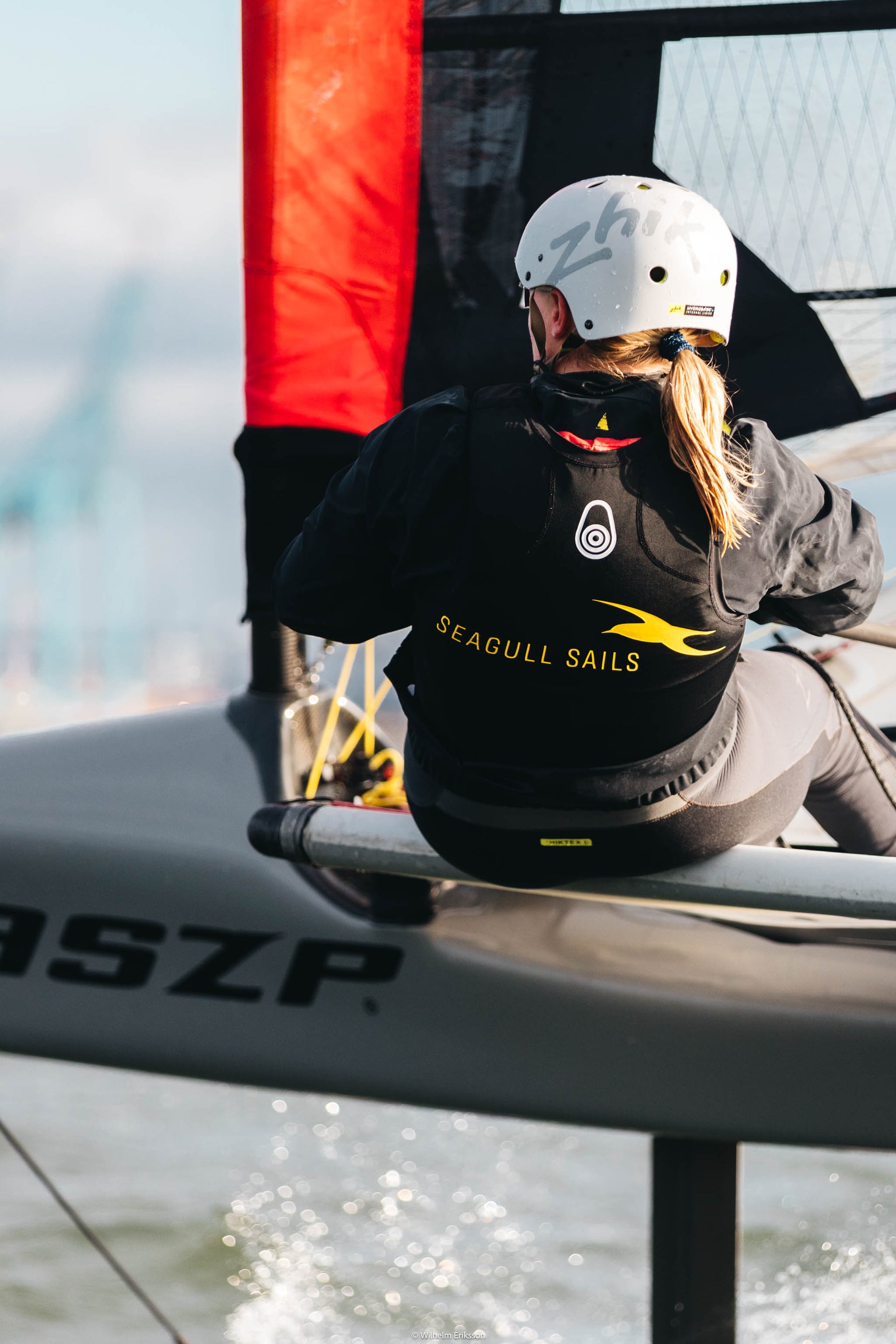 Seagull Sails Bib top