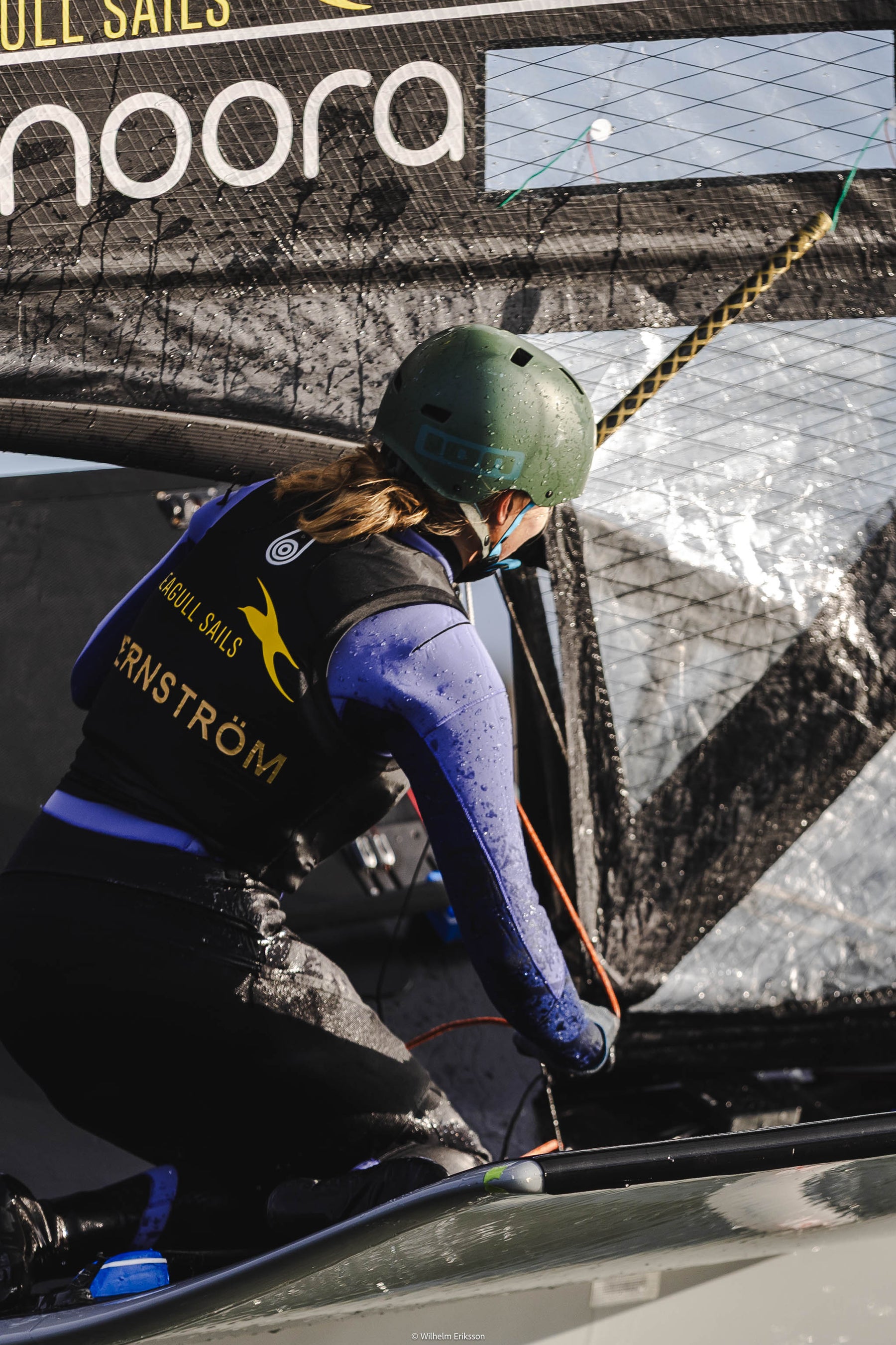 Seagull Sails Bib top