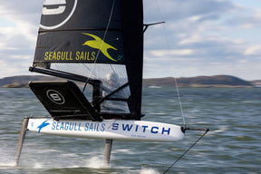Switch One Design: Complete Boat - Ready to Sail
